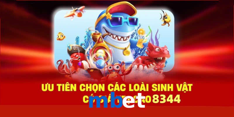 Xem Tướng Gà Chọi - Bí Quyết Chọn Chiến Kê Bất Bại 