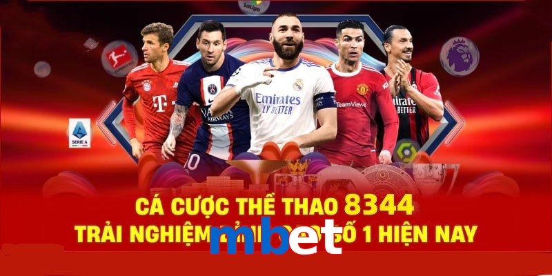 Đá Gà Philippines – Tinh Hoa Truyền Thống Và Thể Thao 